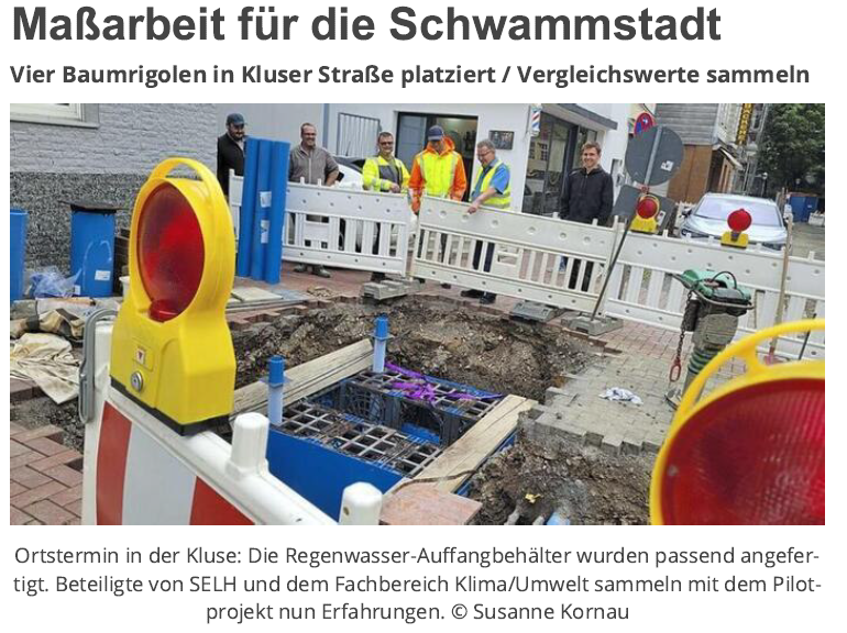 Baumrigolen in der Kluser Straße: Mehr Raum für Regenwasser und gesunde Stadtbäume